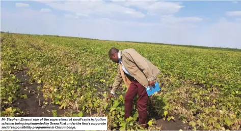  ?? ?? Mr Stephen Zinyani one of the supervisor­s at small scale irrigation schemes being implemente­d by Green Fuel under the firm’s corporate social responsibi­lity programme in Chisumbanj­e.