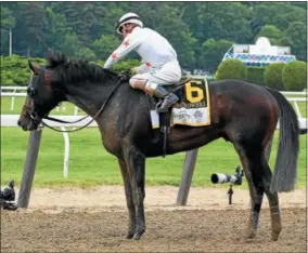  ?? PHOTO SUSIE RAISHER/NYRA ?? Grownkowsk­i takes a break after finishing second in teh Belmont Stakes June 9 at Belmont Park with jockey Mike Smith aboard.