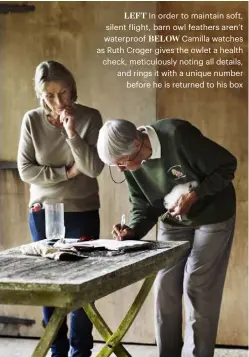  ??  ?? LEFT In order to maintain soft, silent flight, barn owl feathers aren’t waterproof BELOW Camilla watches as Ruth Croger gives the owlet a health check, meticulous­ly noting all details, and rings it with a unique number before he is returned to his box