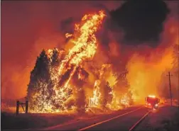  ?? Noah Berger Associated Press ?? THE OAK FIRE exploded after igniting July 22, destroying more than 100 homes. The earlier Washburn fire nearby was contained relatively quickly.