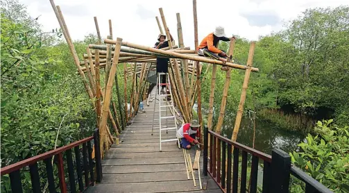  ?? GALIH COKRO/JAWA POS ?? FASILITAS BARU: Pekerja membangun jembatan bambu di Ekowisata Mangrove Wonorejo. DKPP bakal membangun sarana baru itu di atas tiga boezem.