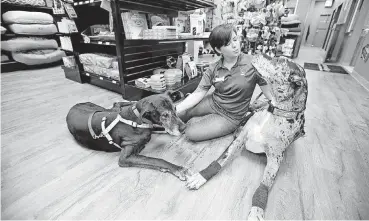  ?? [PHOTOS BY STEVE GOOCH, THE OKLAHOMAN] ?? Kyla Patterson, manager of EarthWise Pet Supply in Oklahoma City, plays with her dogs Scarlet, left, and Rhett while talking about some of the products offered by the store.