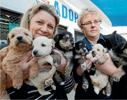  ?? PHOTO: MARTIN DE RUYTER/FAIRFAX NZ ?? ‘‘It's hard for us to keep taking them, when we haven't got the resources or capacity to take them in.’’ Donna Walzl, left and Trudi Black of the Nelson SPCA with six puppies that were dumped in the drive way of the Nelson SPCA on Waimea Rd.