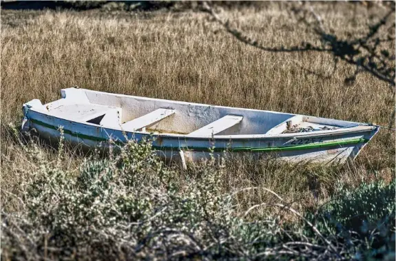  ??  ?? Molto spesso ambiente e clima sono mischiati con numerosi altri fenomeni