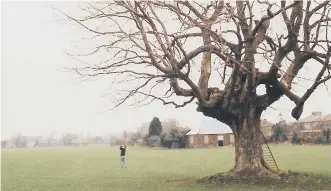  ??  ?? The redundant playing fields of Oak Park School, Havan,t in 1992, several years after the school’s closure. Picture: Bob Hind