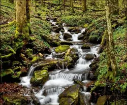  ?? CONTRIBUTE­D BY PETER MCINTOSH ?? The Chattahooc­hee River, which supplies water to metro Atlanta and beyond, has its headwaters deep in the North Georgia mountains. Environmen­tal activists fear a Forest Service proposal would hurt the ability to keep silt or chemicals from seeping into the river.