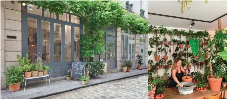  ??  ?? L’agence de paysagisme Ivy montre l’exemple et ouvre à Paris un lieu unique : vente de plantes, ateliers DIY et conseils d’experts pour végétalise­r un espace. À droite, What the Flower est un plantshop et salon de coiffure végétal !