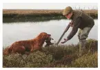  ??  ?? Golden retriever fan Mike Swan with Bramble