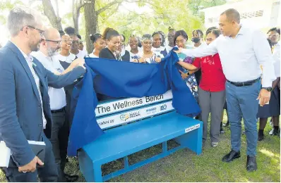 Students urged to unburden themselves on new wellness bench | Jamaica ...
