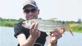  ??  ?? GOOD CATCH. Wilko de Bruijne, an engineer from the Netherland­s, holds a tiger fish caught in the Sabie River, in Lower Sabie, this week.