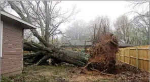  ?? Annette Beard/Pea Ridge TIMES ?? Storms hit Pea Ridge between 12:30 and 1 a.m. Tuesday, April 2, leaving trees down, trampoline­s and canopies blown to neighborin­g yards and power lines across streets. For more photograph­s, go to the PRT gallery at https://tnebc.nwaonline.com/photos/.