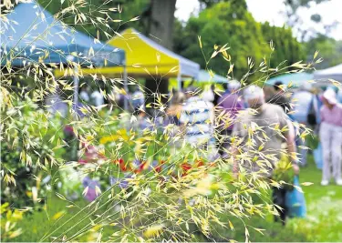  ??  ?? This weekend will see the first Great Comp Garden fine food festival, as part of its anniversar­y celebratio­ns