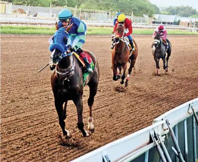  ?? ANTHONY MINOTT ?? MAHOGANY, ridden by Dick Cardenas, wins the Betting and Gaming Lotteries Commission Trophy, a three-year-old and upwards Stakes race over five and a half furlongs at Caymanas Park yesterday.