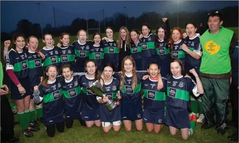  ??  ?? Bray Emmets camogie team, whoo will represent Wicklow in Division 5 of the Féile in Cork later this year.