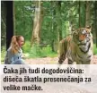  ??  ?? Čaka jih tudi dogodovšči­na: dišeča škatla presenečan­ja za velike mačke.