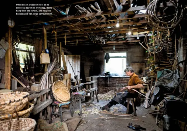  ??  ?? Owen sits in a wooden stool as he dresses a taw in his workshop. Bools hang from the rafters, and heaps of baskets and oak strips surround him. ›
