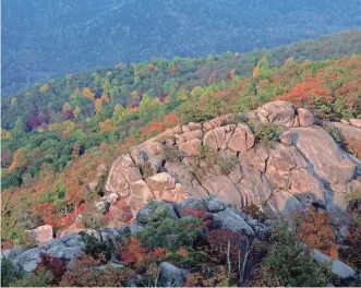  ?? PHOTOS PROVDED BY TIM PALMER ?? Old Rag Mountain trail in Shenandoah National Park, Va.