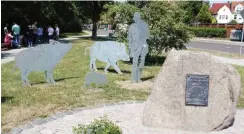  ?? Foto: Harald Lachmann ?? Lebensgroß in Burg: Heinz Meynhardt und seine Wildschwei­ne