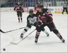  ?? KEVIN ADSHADE/THE NEWS ?? Defenceman Marc Gagnon in action Thursday against the Valley Wildcats.