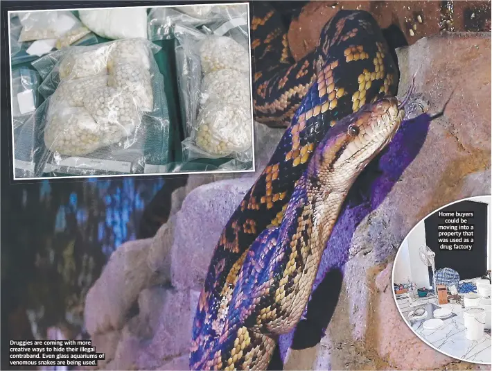  ?? ?? Druggies are coming with more creative ways to hide their illegal contraband. Even glass aquariums of venomous snakes are being used.
Home buyers could be moving into a property that was used as a drug factory