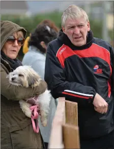  ??  ?? Pat and Eilís Ó Dubháin - with Millie the dog - watching the Pobalscoil Chorca Dhuibhne v. Mercy Mounthawk McCarthy Cup match at Carraig on Wednesday last. Photo by Declan Malone