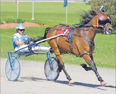  ?? JASON SIMMONDS/JOURNAL PIONEER ?? Norris Rogers drives Allstar Seelster to victory in the $1,800 Race 10 at Red Shores at Summerside Raceway on Sunday afternoon. Allstar Seelster recorded the fastest mile – 1:55 flat – of the 12-dash program.