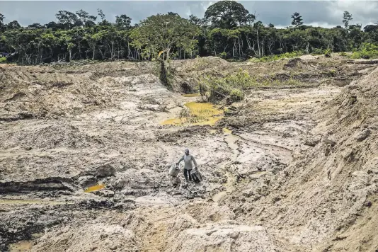  ?? MERIDITH KOHUT FOR THE NEW YORK TIMES ?? Law-breaking gold miners are stripping tribal land in the Amazon. Brazil’s president wants to develop these protected areas.