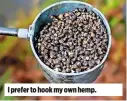  ??  ?? I prefer to hook my own hemp.