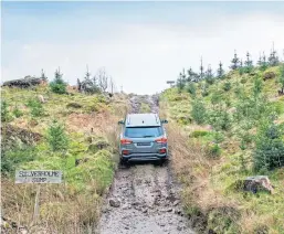  ??  ?? The SsangYong Rexton, above and left, and the Musso, below, are put through a challengin­g off-road course near Lake Windermere.