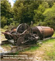  ??  ?? Impressive relics from the timber industry pepper the path ūū