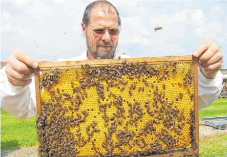  ?? FOTO: GERD MÄGERLE ?? Helmut Fesseler, zeigt seinen Bienenstam­m und erklärt, warum die Bienen dieses Jahr teilweise vergeblich nach Obstblüten gesucht haben.