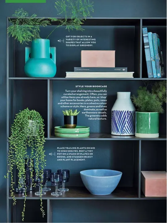  ??  ?? OPT FOR OBJECTS IN A VARIETY OF INTERESTIN­G SHAPES THAT ALLOW YOU TO DISPLAY GREENERY
PLACE TRAILING PLANTS ON MID TO HIGH SHELVES REST A TINY POT ON A STACK OF PLATES OR BOOKS AND STAGGER OBJECT AND PLANT PLACEMENT