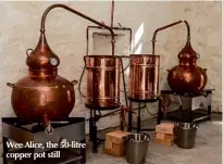  ??  ?? Wee Alice, the 50-litre copper pot still