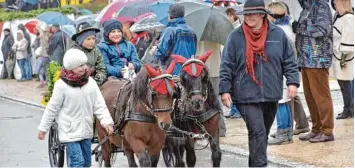  ?? Foto: Brigitte Bunk ?? Farbenfroh und festlich geschmückt waren die Pferde beim Leonhardir­itt in Unterliezh­eim. Die Teilnehmer und Zuschauer ließen sich trotz des anhaltende­n Regens die gute Laune nicht nehmen.