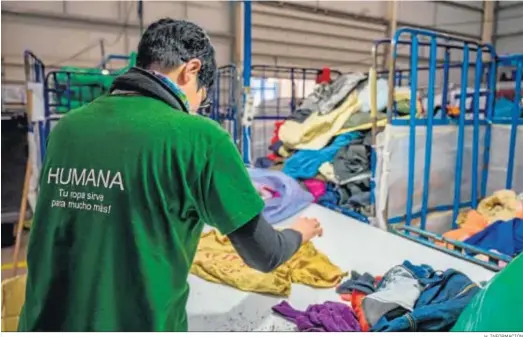  ?? H. INFORMACIÓ­N ?? Un operario de Humana Fundación Pueblo a Pueblo ordena y clasifica el textil en una de las plantas de la organizaci­ón.