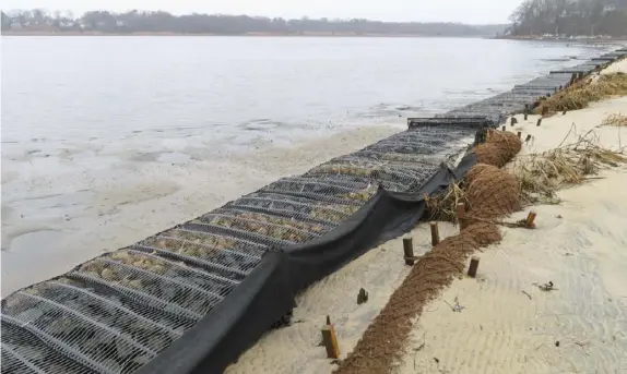  ?? Associated Press ?? Logs of coconut husk known as coir sit Jan. 31 on the bank of the Shark River in Neptune, N.J., where the American Littoral Society is doing a shoreline restoratio­n project incorporat­ing coconut fibers. The material is being used in shoreline stabilizat­ion projects around the world.