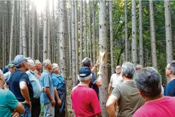  ?? Foto: Marc Koch ?? Revierleit­er Hermann Rupp gab den Waldbesitz­ern praktische Hinweise zur Borkenkäfe­rbekämpfun­g.