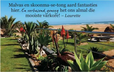  ??  ?? KONTAK Perfect Settings Landscapin­g 082 562 5410, perfectset­tings.co.zaMalvas en skoonma-se-tong aard fantasties hier. En verbasend genoeg het ons almal die mooiste varkore! – Laurette