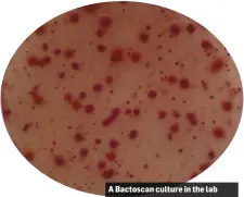  ??  ?? A Bactoscan culture in the lab