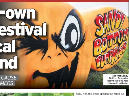  ??  ?? The first Sandy Bottom Pumpkins festival is being held this month in Hedon