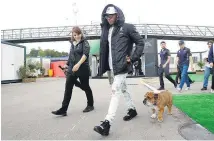  ?? Picture / AP ?? Lewis Hamilton walks his pet bulldog in Catalunya. TENNIS