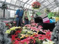  ?? JOHN LAW TORSTAR ?? Fort Erie’s Amy and Alan Roebuck make their annual trek to the poinsettia show at the Floral Showhouse Sunday.