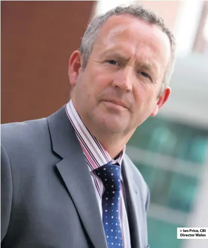  ??  ?? > Ian Price, CBI Director Wales