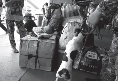  ?? Ted ALJIBE / AFP ?? A PHILIPPINE Coast Guard agent guides his sniffing dog to inspect passenger bags at the seaport terminal in Manila on Monday. Coastguard personnel were dispatched to different sea ports as part of the security preparatio­ns for the annual tradition of visiting the graves of loved ones, on All Souls Day on Nov. 1, where millions of Filipinos are expected to head for the provinces.