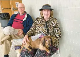  ?? ANTHONY SALAMONE/THE MORNING CALL ?? Katharine and W. Edward Guyer, of Beverly Avenue, sit with Telsche, their miniature Dachshund, on Thursday inside Nitschmann Middle School in Bethlehem. They were among hundreds of residents evacuated from their homes after a tanker truck overturned, spilling thousands of gallons of fuel on the city’s west side.