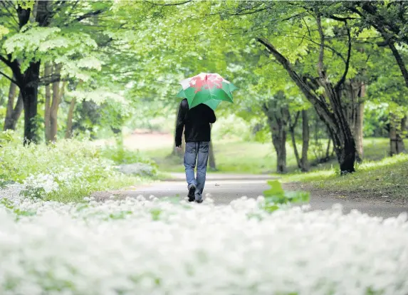  ?? MATTHEW HORWOOD ?? A call for a speed limit to be implemente­d along the Taff Trail has sparked a debate online