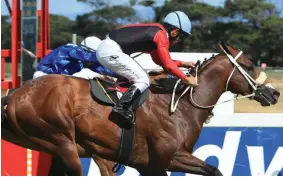  ?? LIESL KING ?? Speedpoint has shown a lot of sprinting promise and should win race 6 at the Vaal Outside track today. /