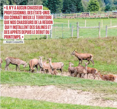  ?? PHOTO D’ARCHIVES, COLLABORAT­ION SPÉCIALE STÉPHANE SINCLAIR ?? Les cerfs rouges du cheptel où un cas de maladie débilitant­e du cerf a été trouvé cette semaine. Des chasseurs américains ont été embauchés pour récupérer des animaux à analyser.