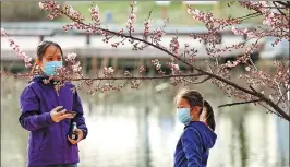  ?? LIU XIANGUO / XINHUA ?? The cherry blossoms attract visitors to the Yuyuantan Park in Beijing, on March 21.