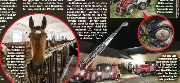  ??  ?? 15 schwere Warmblüter der Rasse „Moritzburg­er“wurden vom Pferdezüch­ter (65) vor den Flammen gerettet. Sie trabten disziplini­ert vom Stall auf die
Koppel.
Die drei Ortsfeuerw­ehren aus Waldenburg hatten 2019 für den Ernstfall Brand in Stall und Tier-Nähe trainiert. Der Einsatz am Dienstag lief wie geschmiert.